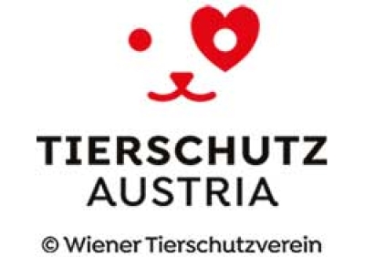 Kunstauktion 2025