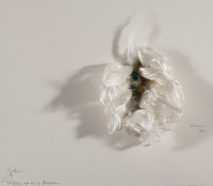 © richardluerzer.at