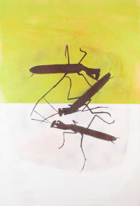 Copyright Richard Lürzer