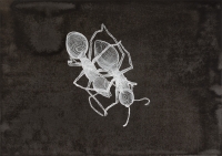 Kogler Peter, "O.T."