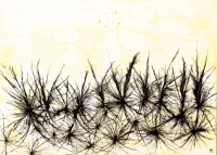 Copyright Richard Luerzer