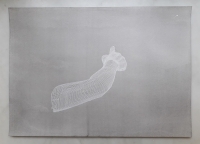 Kogler Peter, "O.T."