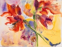 © richardluerzer.at