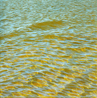 Wehrmann Carolin, "Reflections"