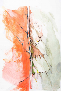 Copyright Richard Luerzer