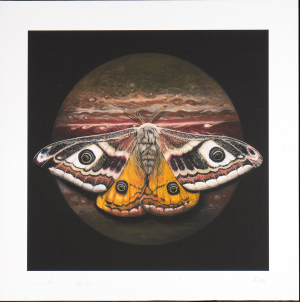 © richardluerzer.at