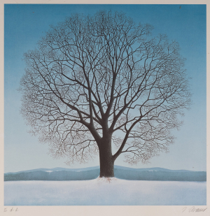 © richardluerzer.at