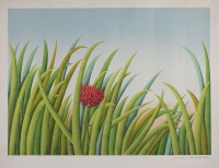 Haller Roman, "Ereignis Natur"