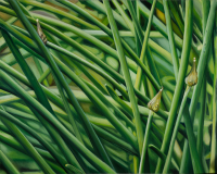 © richardluerzer.at