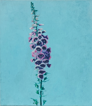 © richardluerzer.at