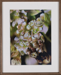 © richardluerzer.at